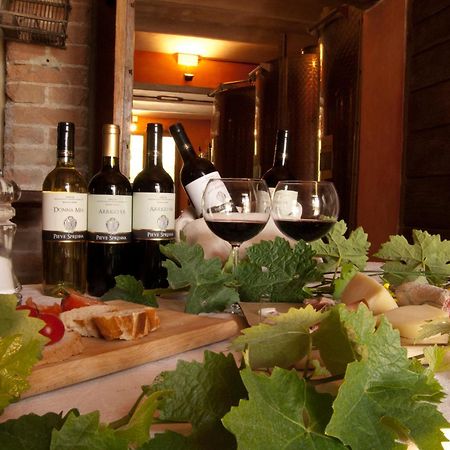 Agriturismo Pieve Sprenna Буонконвенто Экстерьер фото