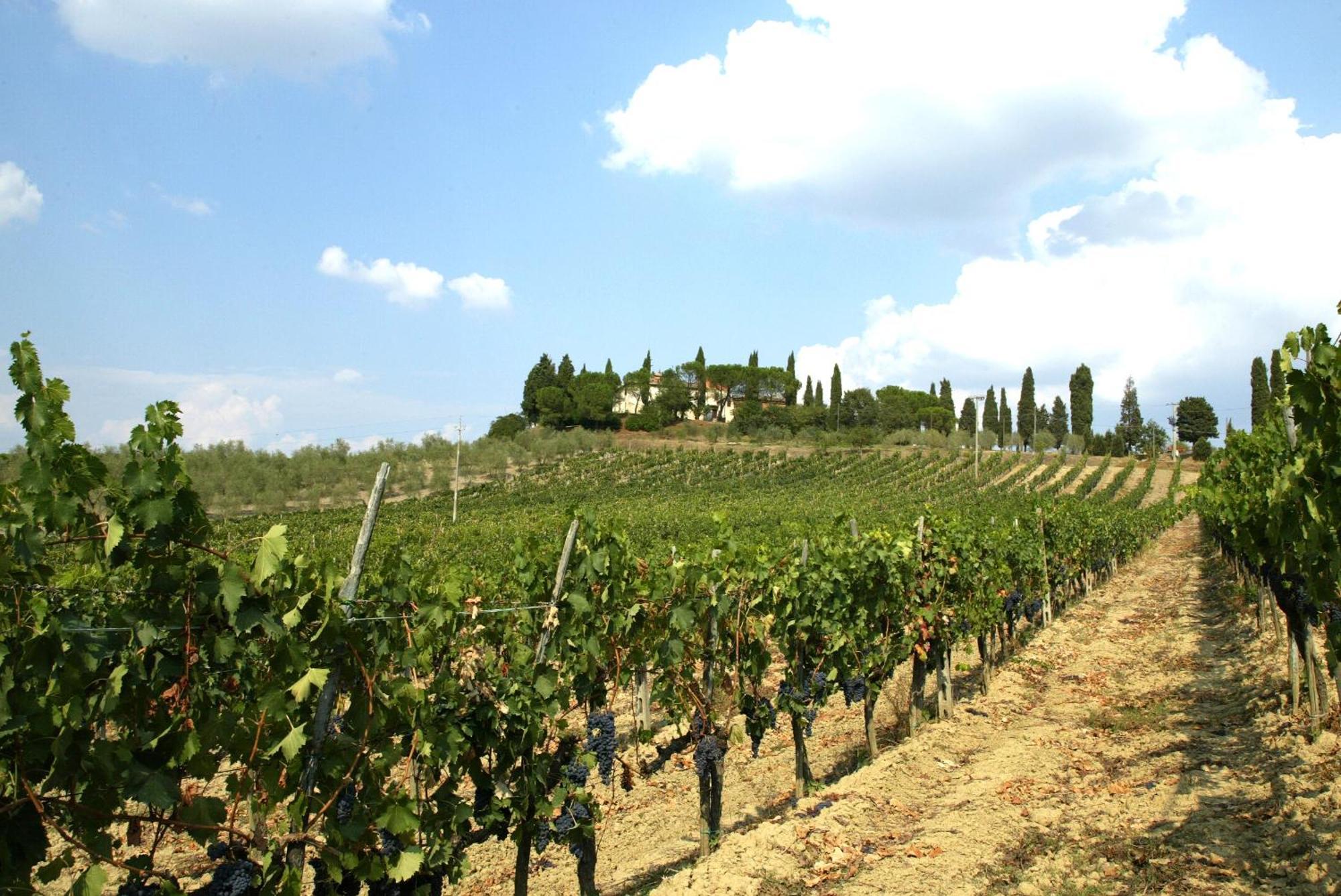 Agriturismo Pieve Sprenna Буонконвенто Экстерьер фото