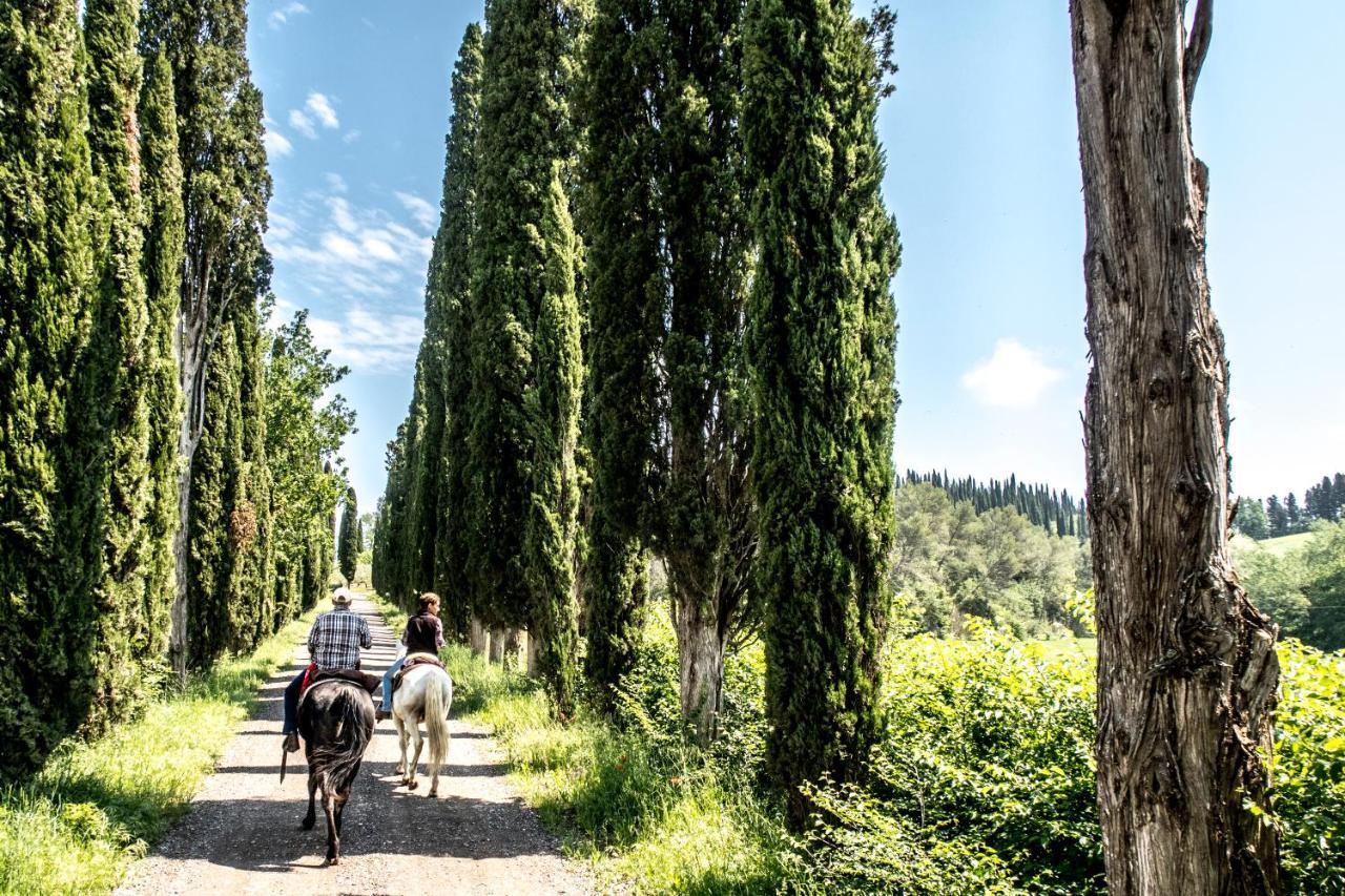 Agriturismo Pieve Sprenna Буонконвенто Экстерьер фото